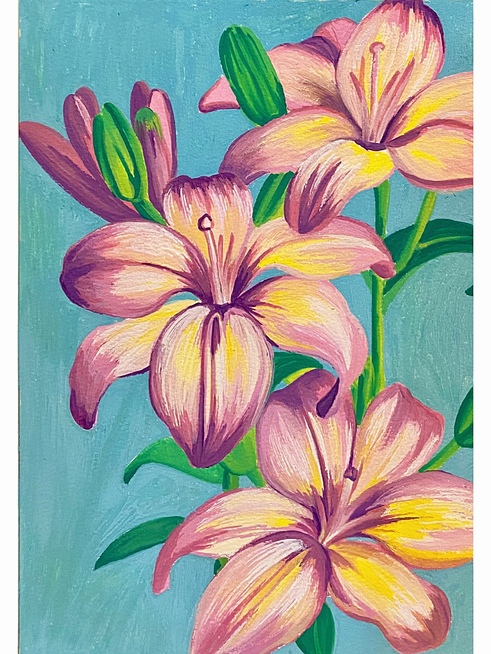 丙烯马克笔|百合花写生绘画(含步骤) 百合花应该是大家都非常熟悉的