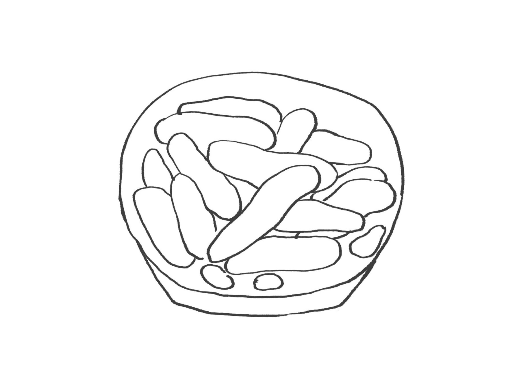 温州美食记——瘦肉丸