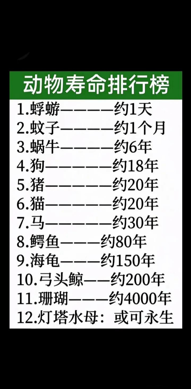 动物寿命排行榜厉害的动物