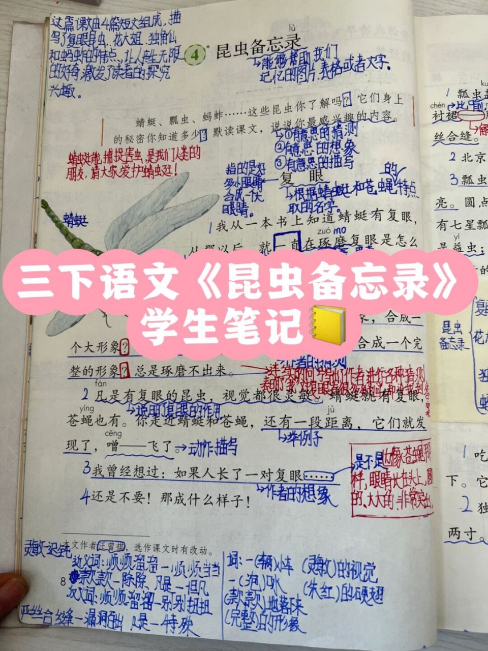 三下语文《昆虫备忘录》学生笔记 #小学语文# #三年级语文# #小学语文