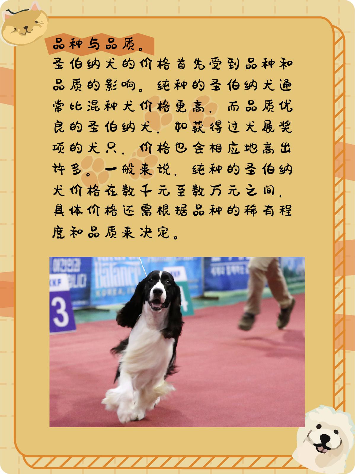 圣伯纳犬多少钱一只 1.@小杨的生活常识分享的动态