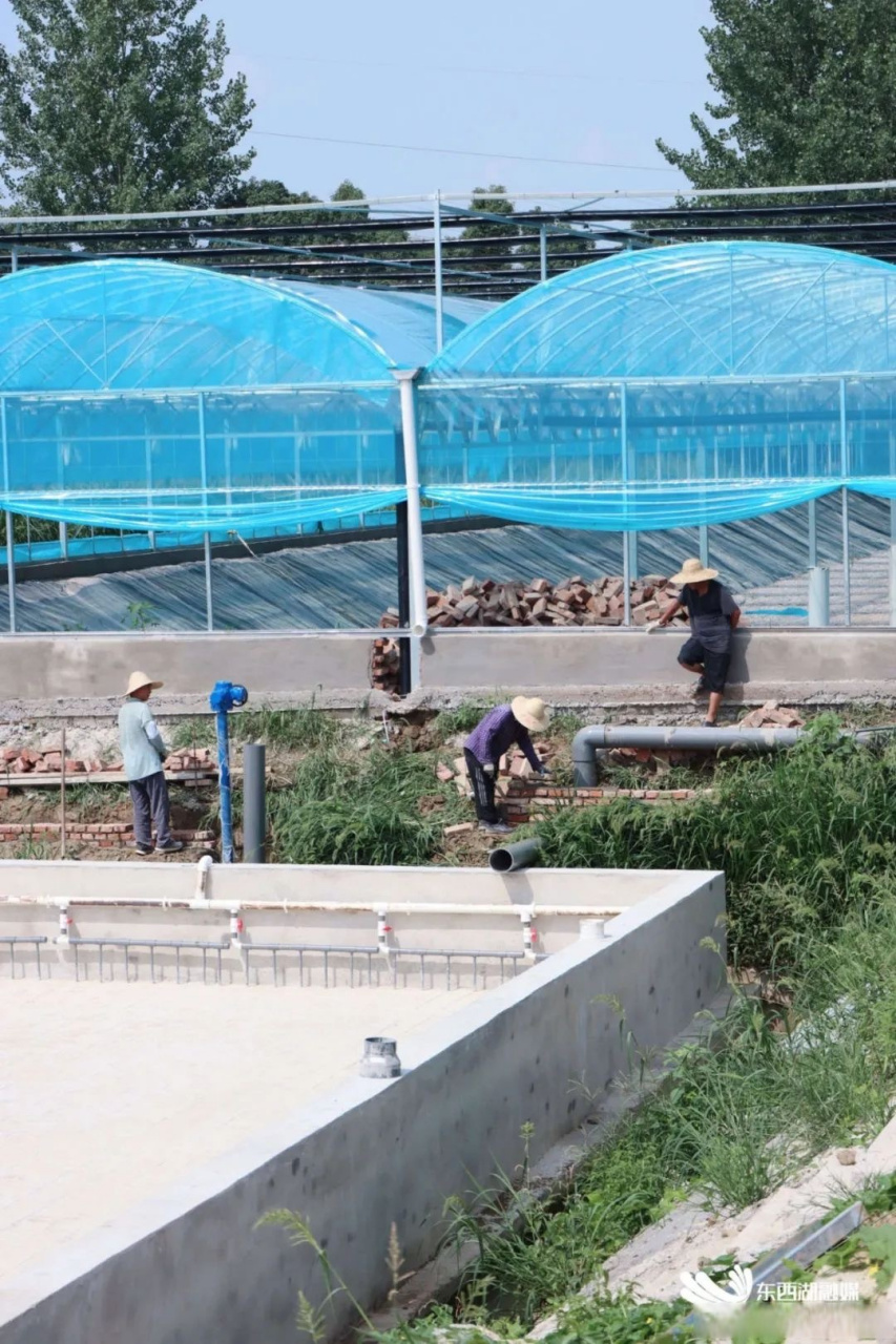 近日,记者从位于东西湖区走马岭街的武汉市科洋生物工程有限公司孪 