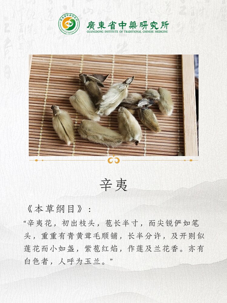 🌿广东省中药研究所中药每日科普