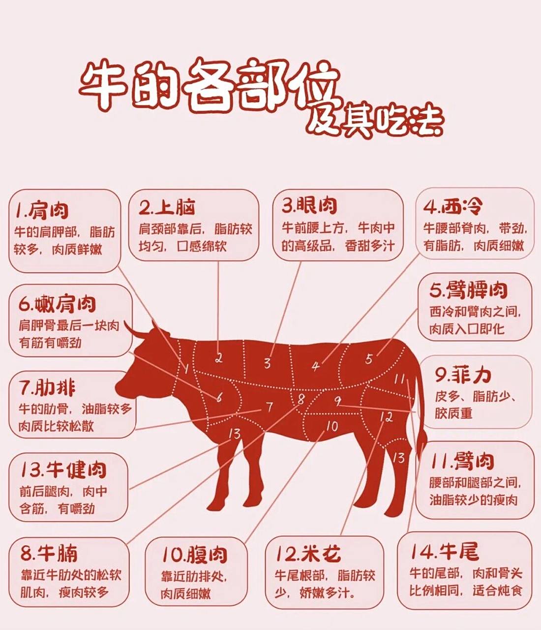 一张图让你轻松认识牛肉的各种部位!