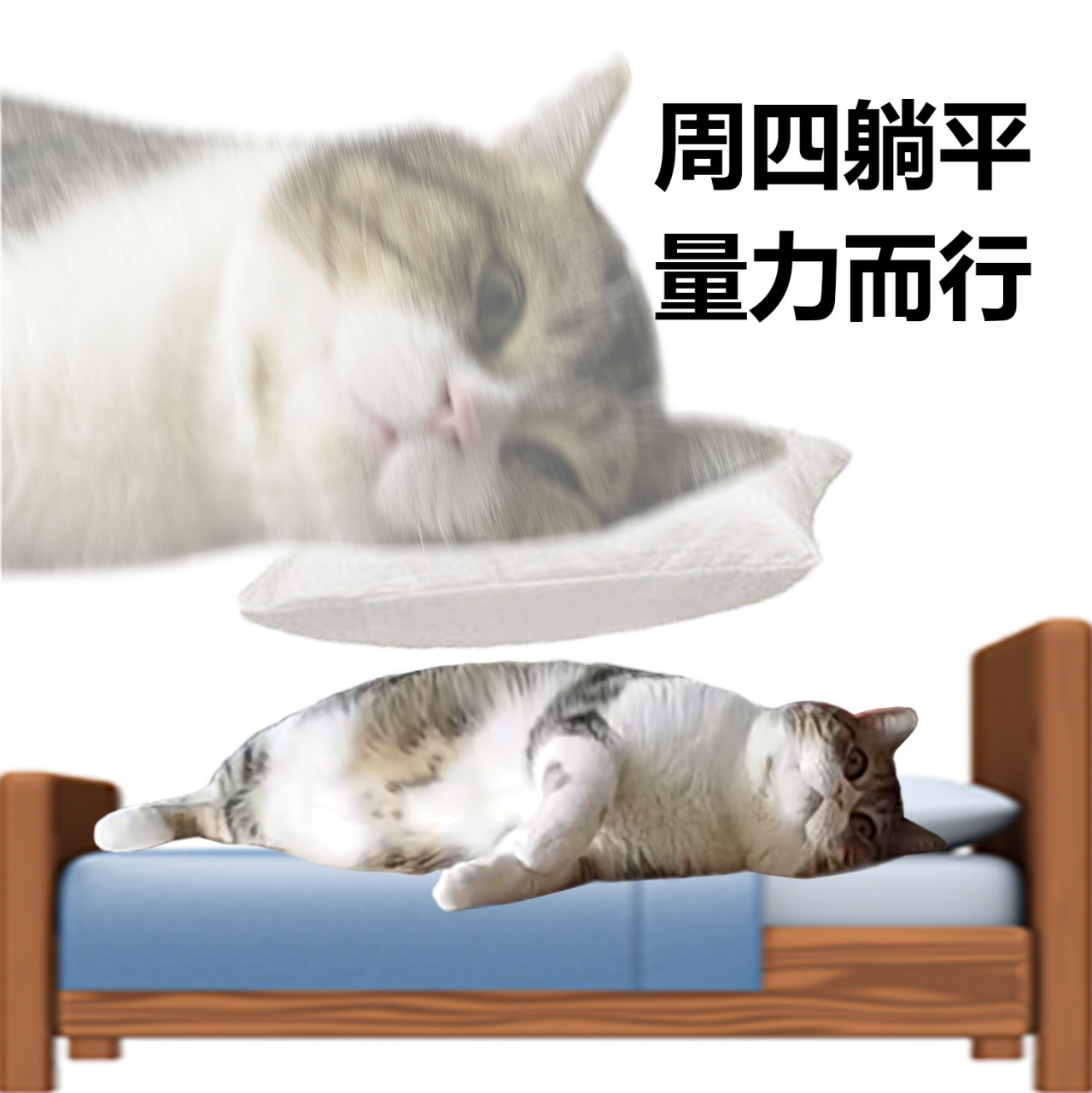 周四躺平,量力而行             今天周四,明天周五