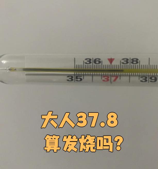 什么病会引起发低烧