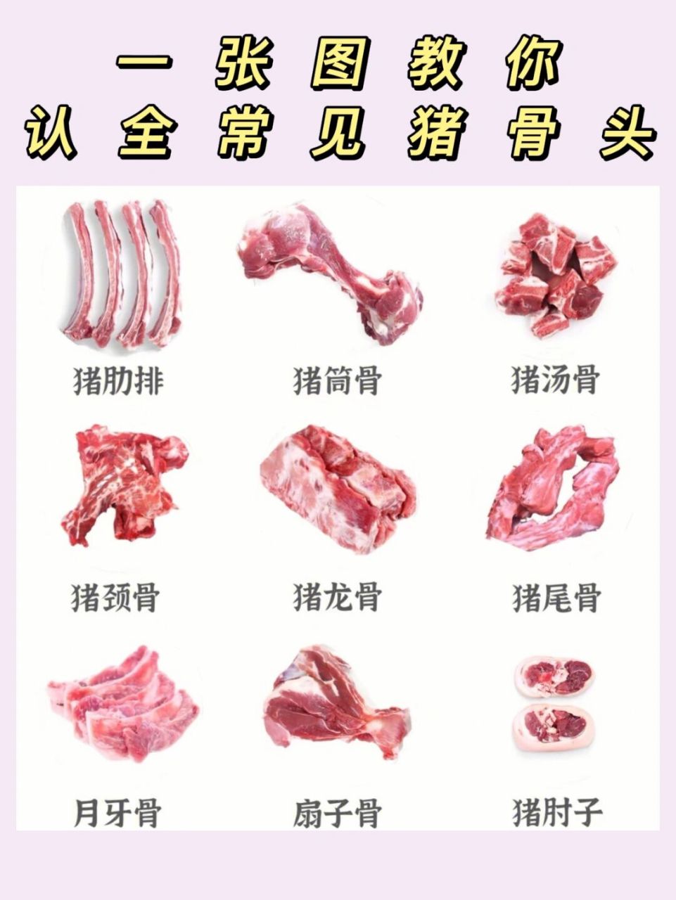 78 猪肋排 73糖醋排骨 73海带排骨汤 7