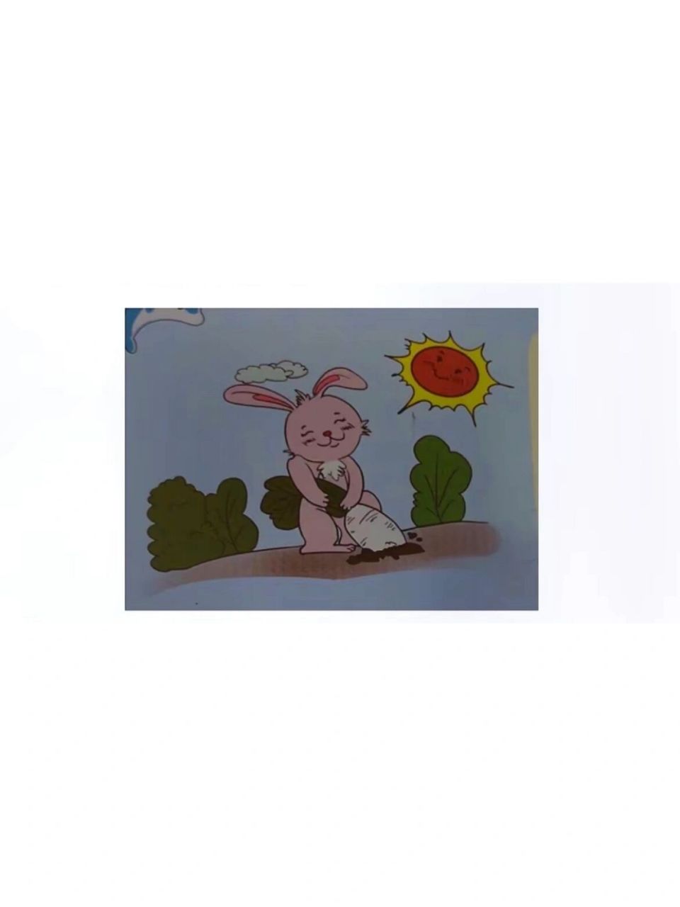 小兔子拔萝卜看图写话图片