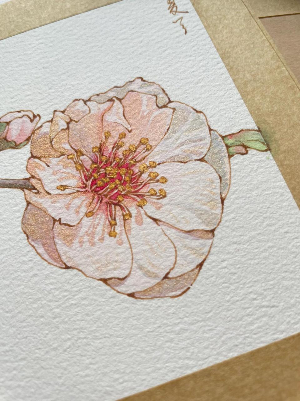 钢笔淡彩梅花～水彩花卉 内附线稿过程图～ 素材来源 笔 英雄329 云月