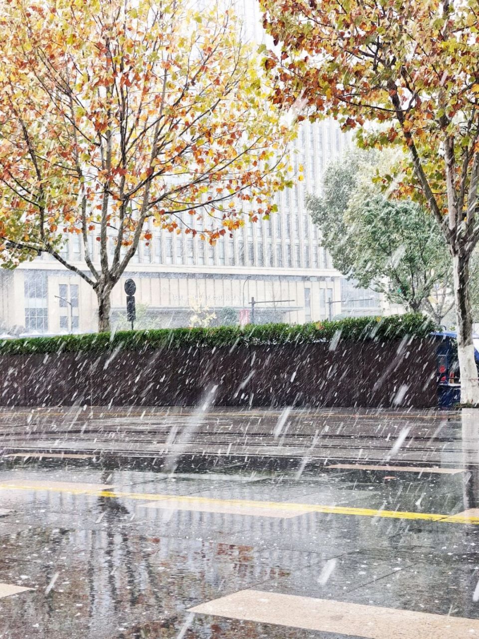 浪漫生活的记录者##笔记灵感# #杭州# #我这边下雪了你们下雪了