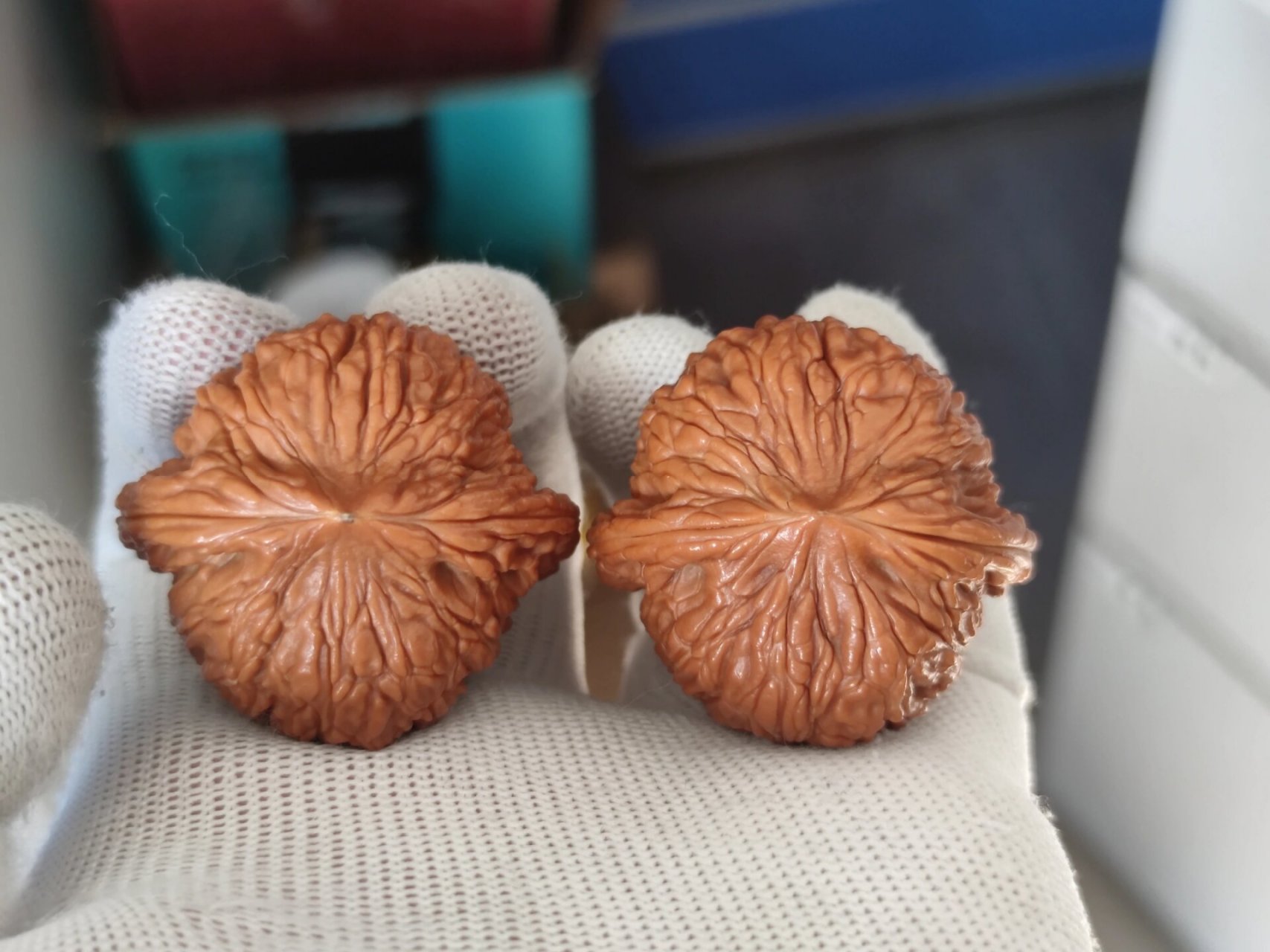 文玩核桃狮子头绣球泥鳅背43尺 文玩核桃狮子头泥鳅背绣球93号 全品