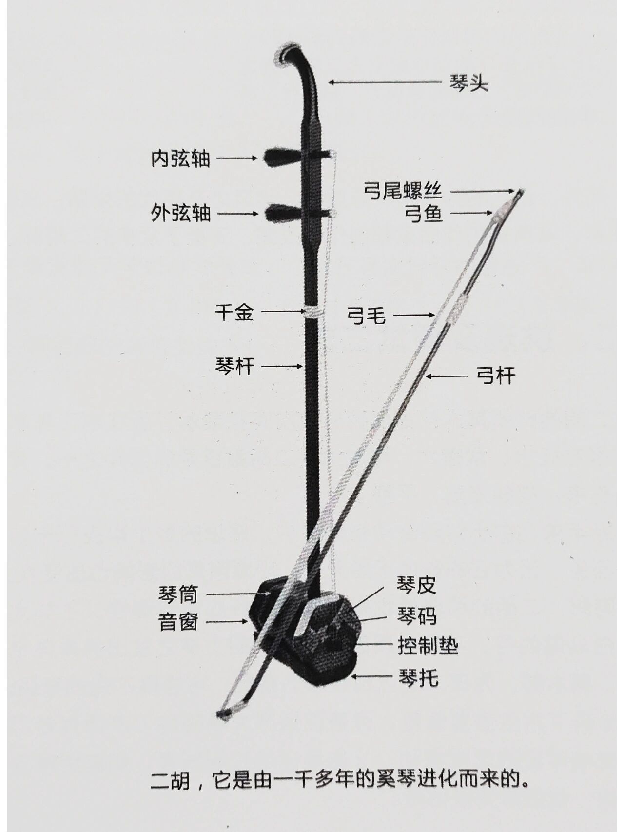 二胡内外弦图解图片