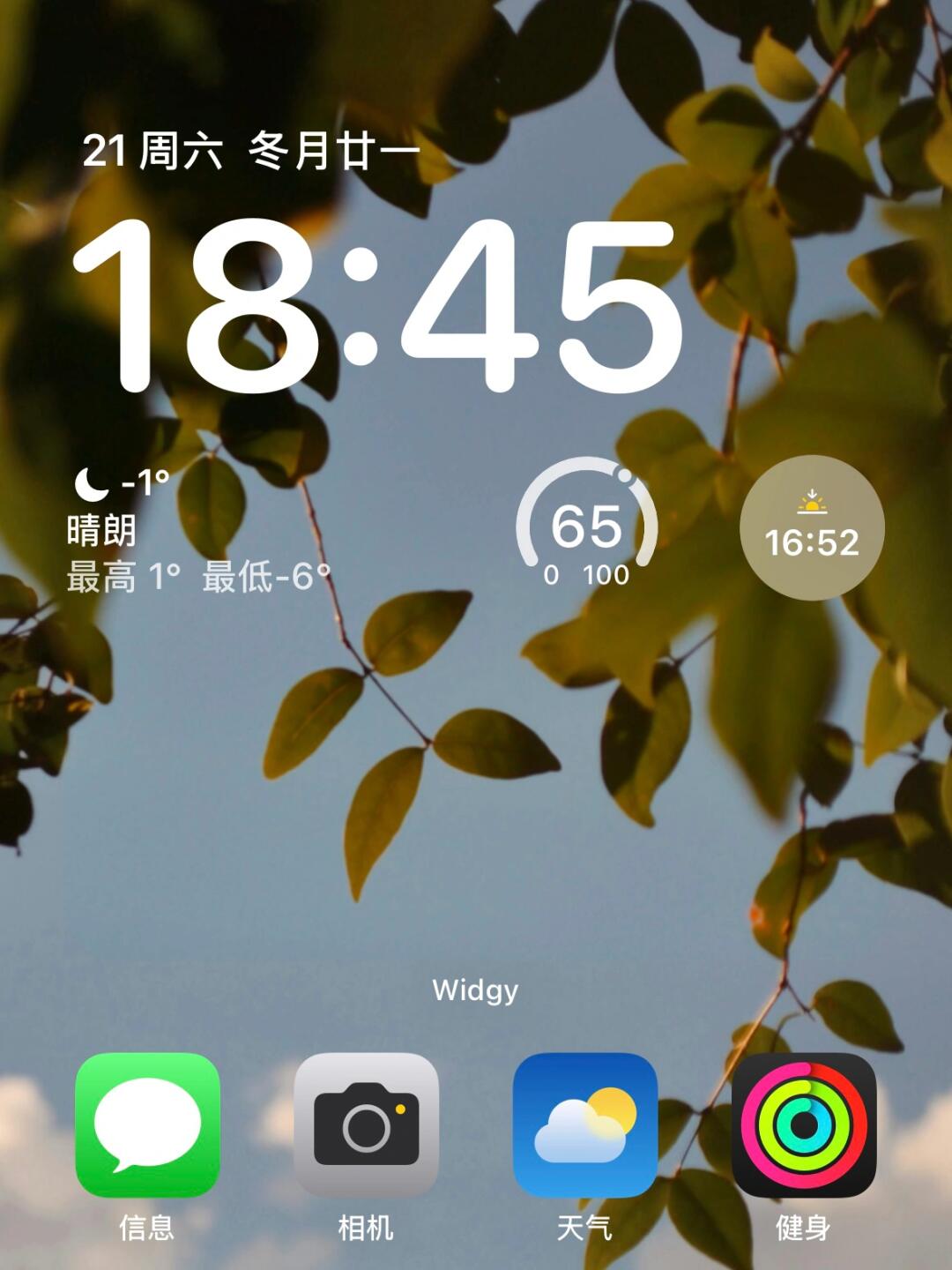 锁屏风格小组件