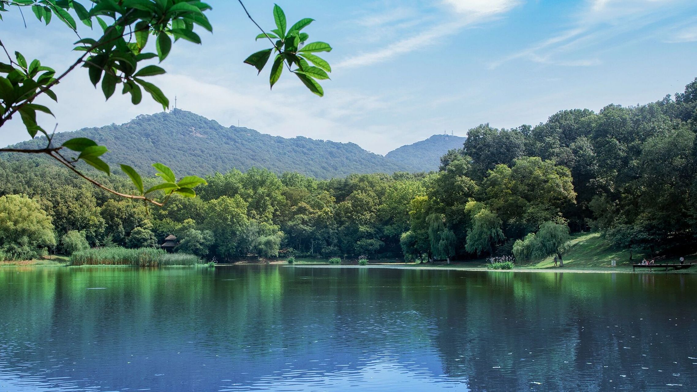 【南京|琵琶湖】幽湖清溪,摄影打卡 琵琶湖位于紫金山脚下,城墙,山林