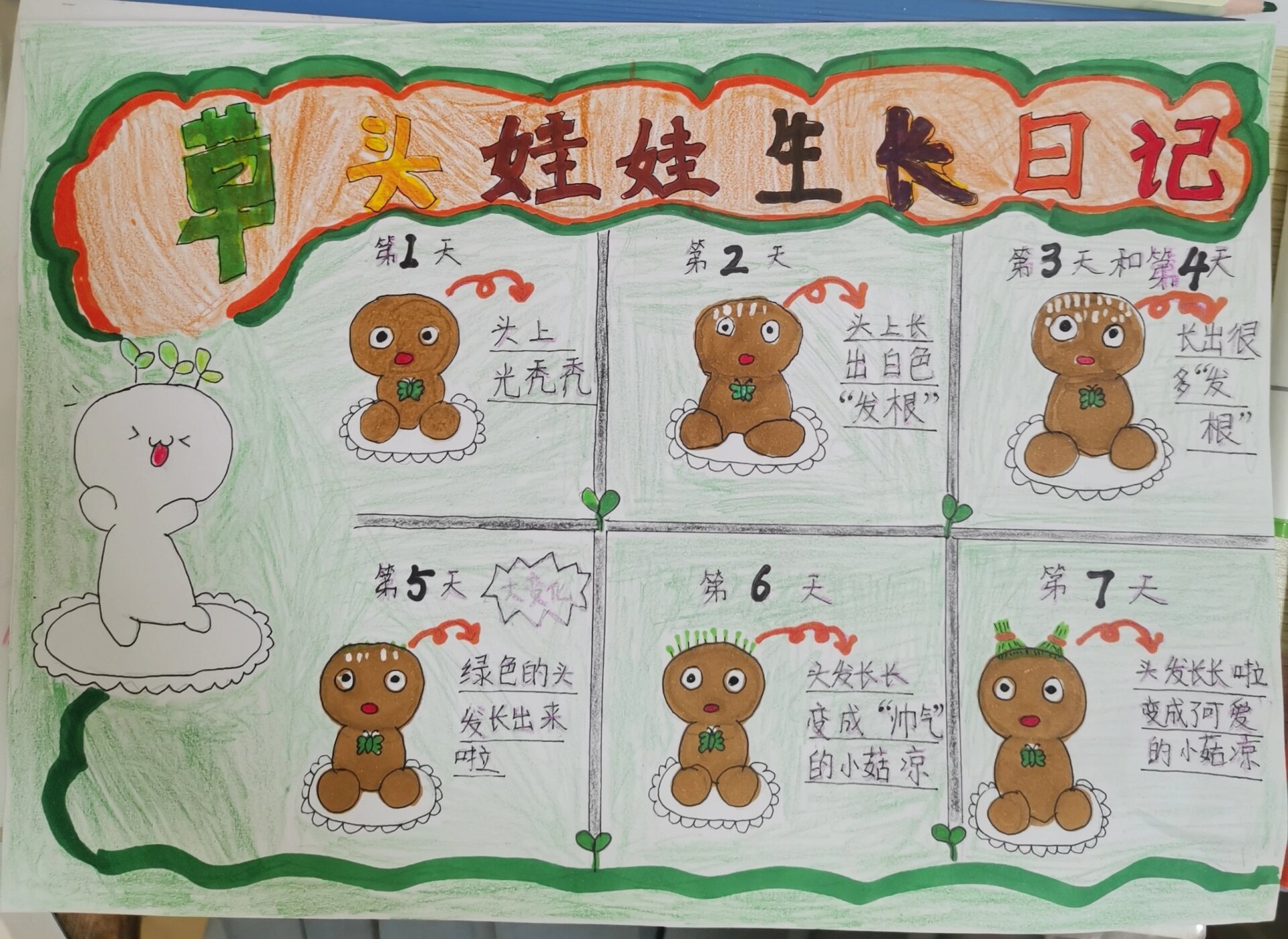 植物生长日记(草头娃娃)