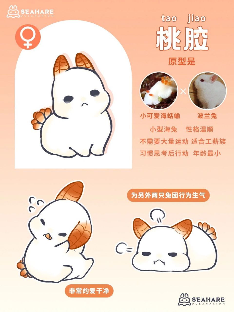 海兔百科|兔团们的资料卡 上周让大家担心了很久的小兔团资料卡来喽