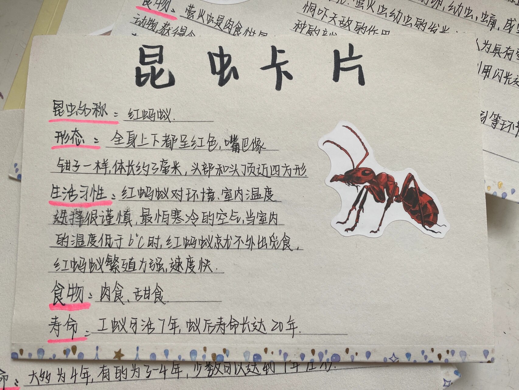 《昆虫记》之昆虫卡片(假期作业)