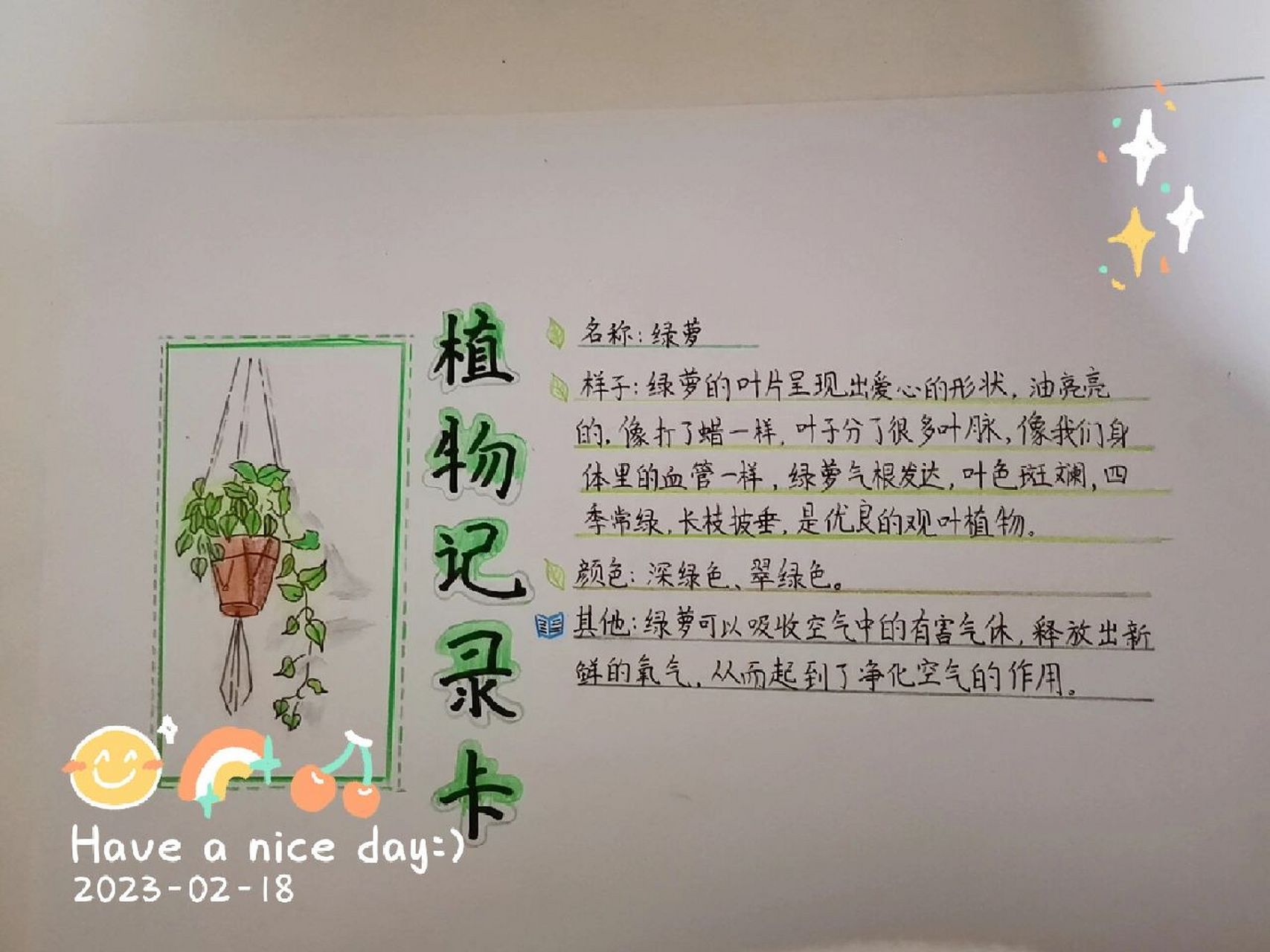 小学三年级植物记录卡(小学三年级植物记录卡打印)