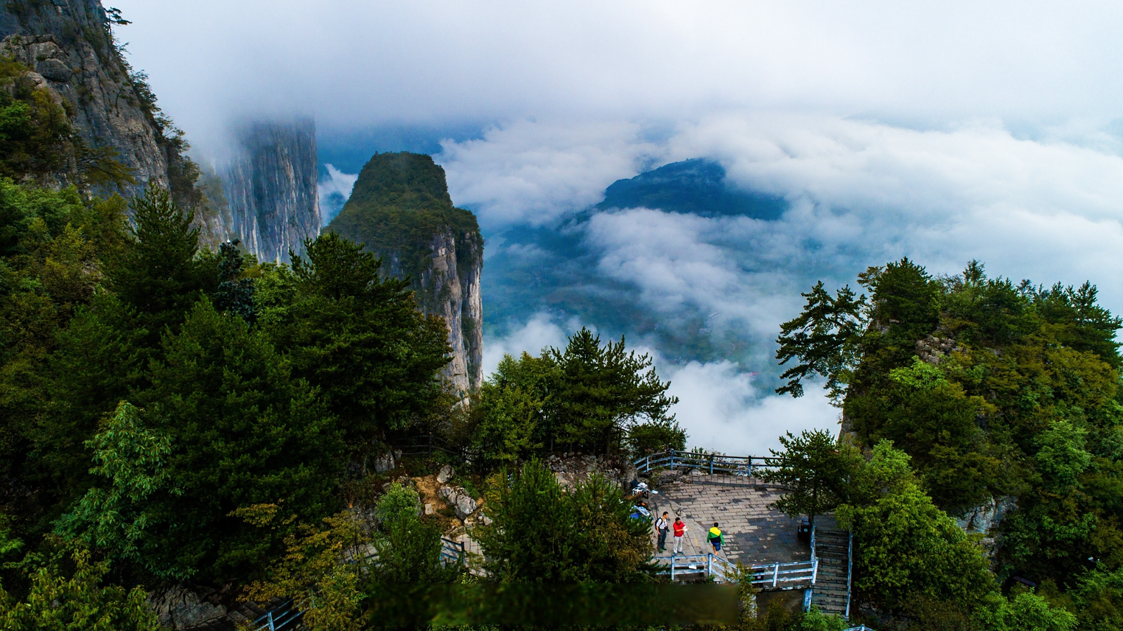 恩施大峡谷"迎客松"生长在七星寨景区的悬崖峭壁之上,历经风吹雨打