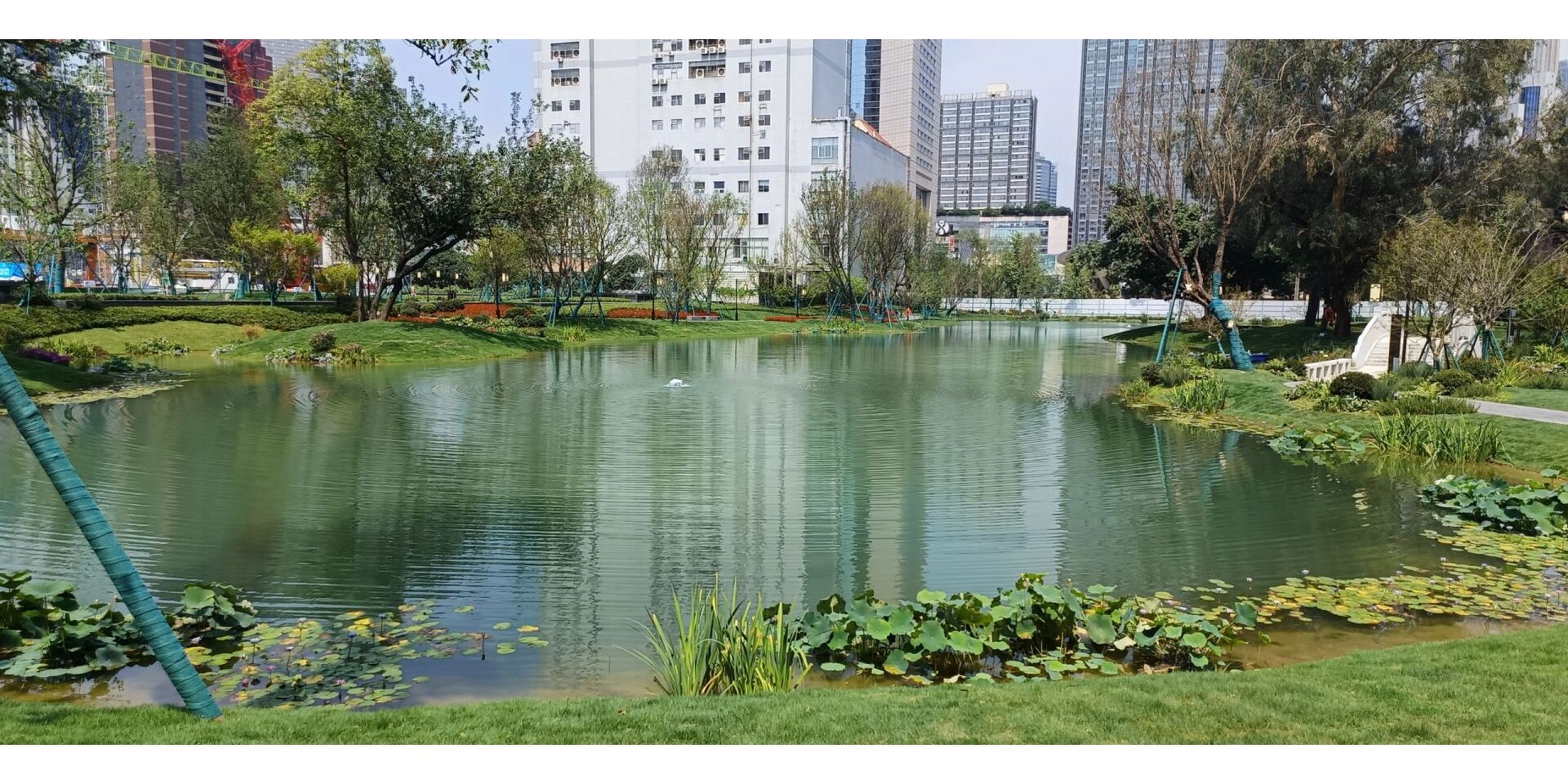 摩诃池 老成都新景点摩诃池