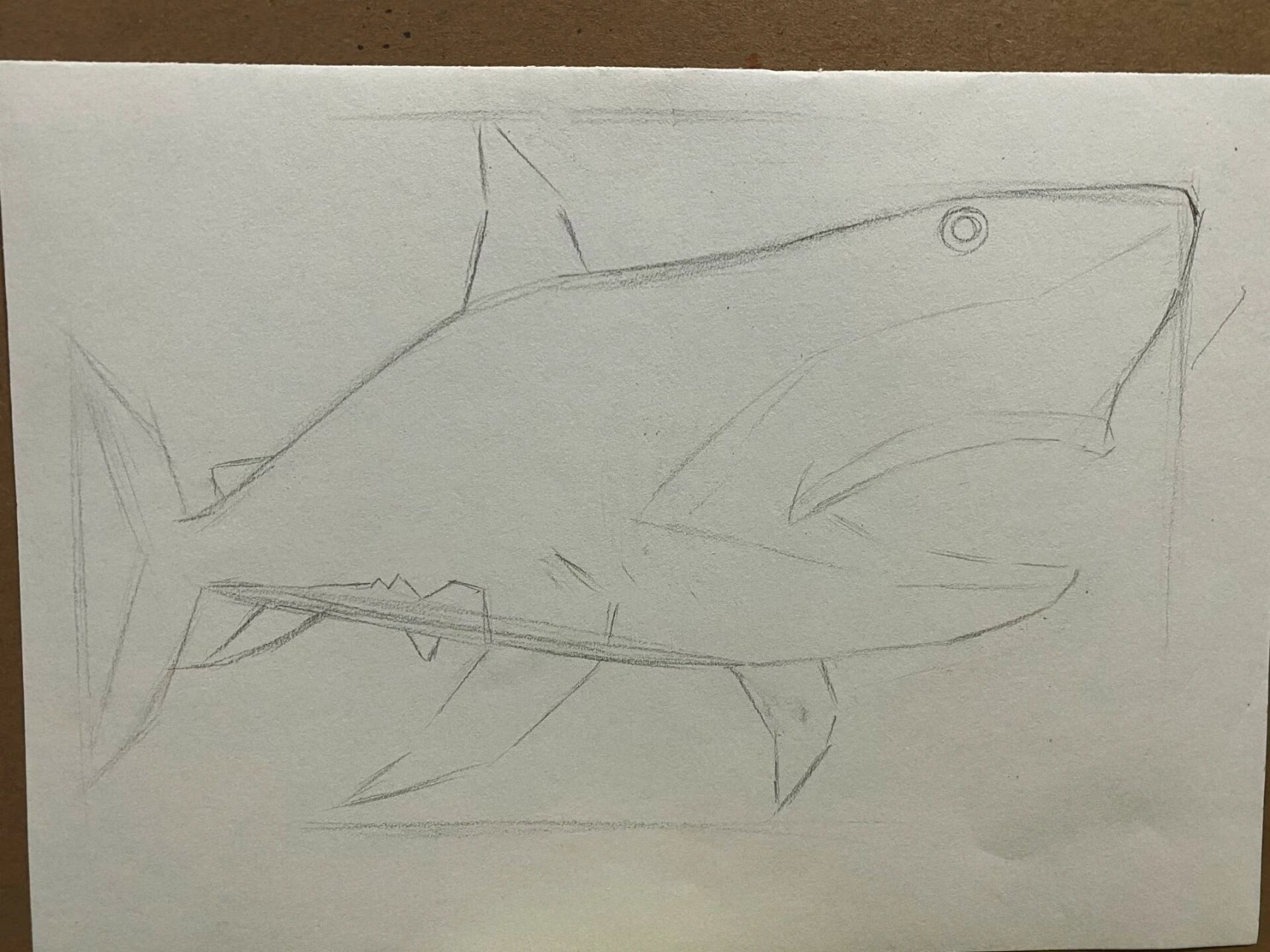 素描鲨鱼00|详细步骤94 00