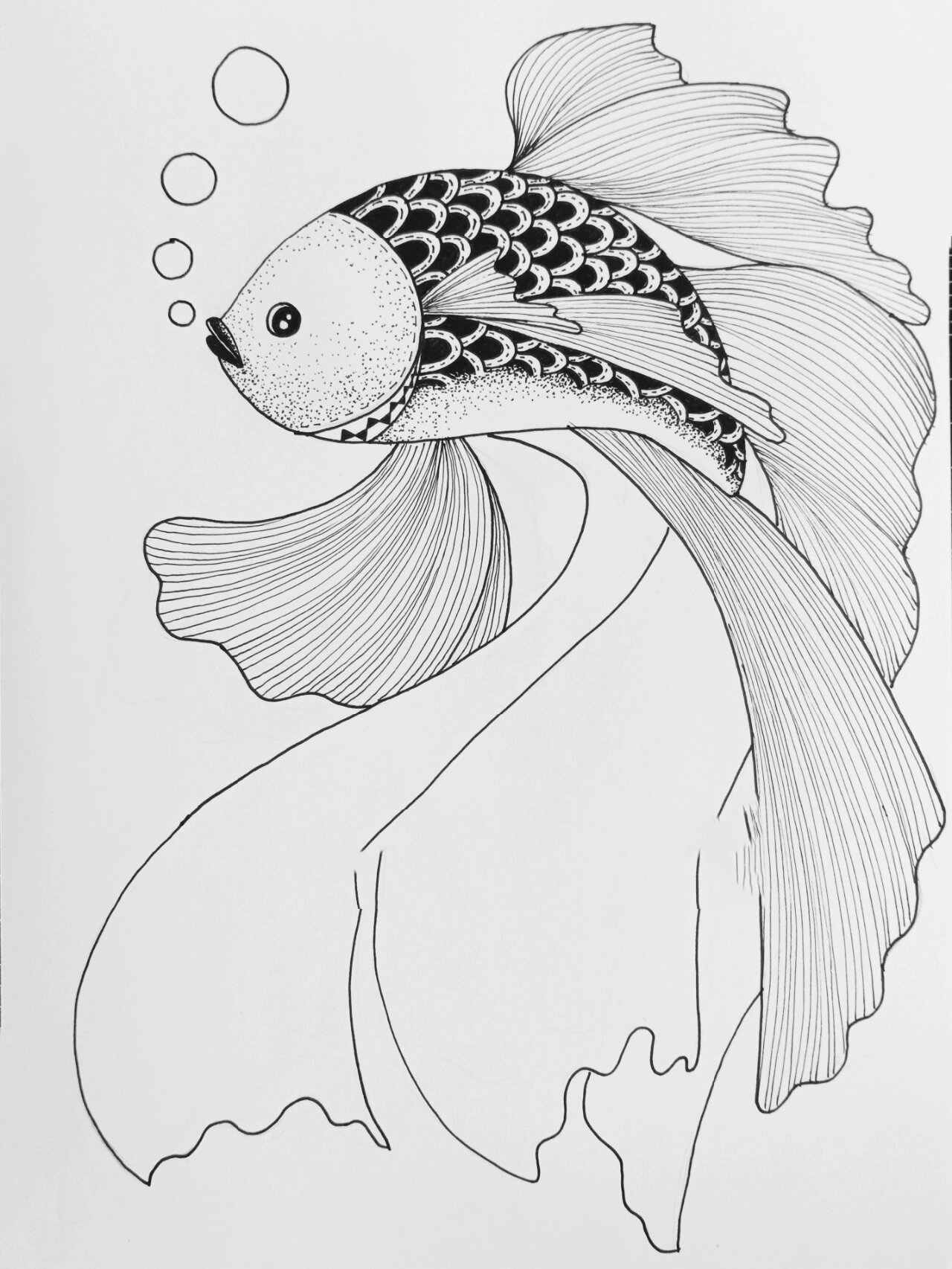 线描创作‖黑白线描画《第六条鱼96》 鱼是我超喜欢的画画素材之一