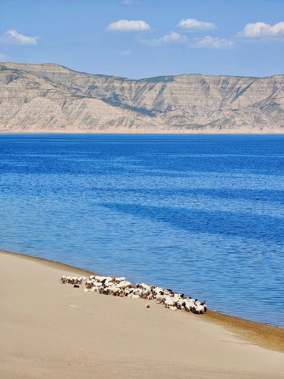 龙羊峡攻略之沙漠 更新于2023年8月15号7815  这绝对是一个隐世未