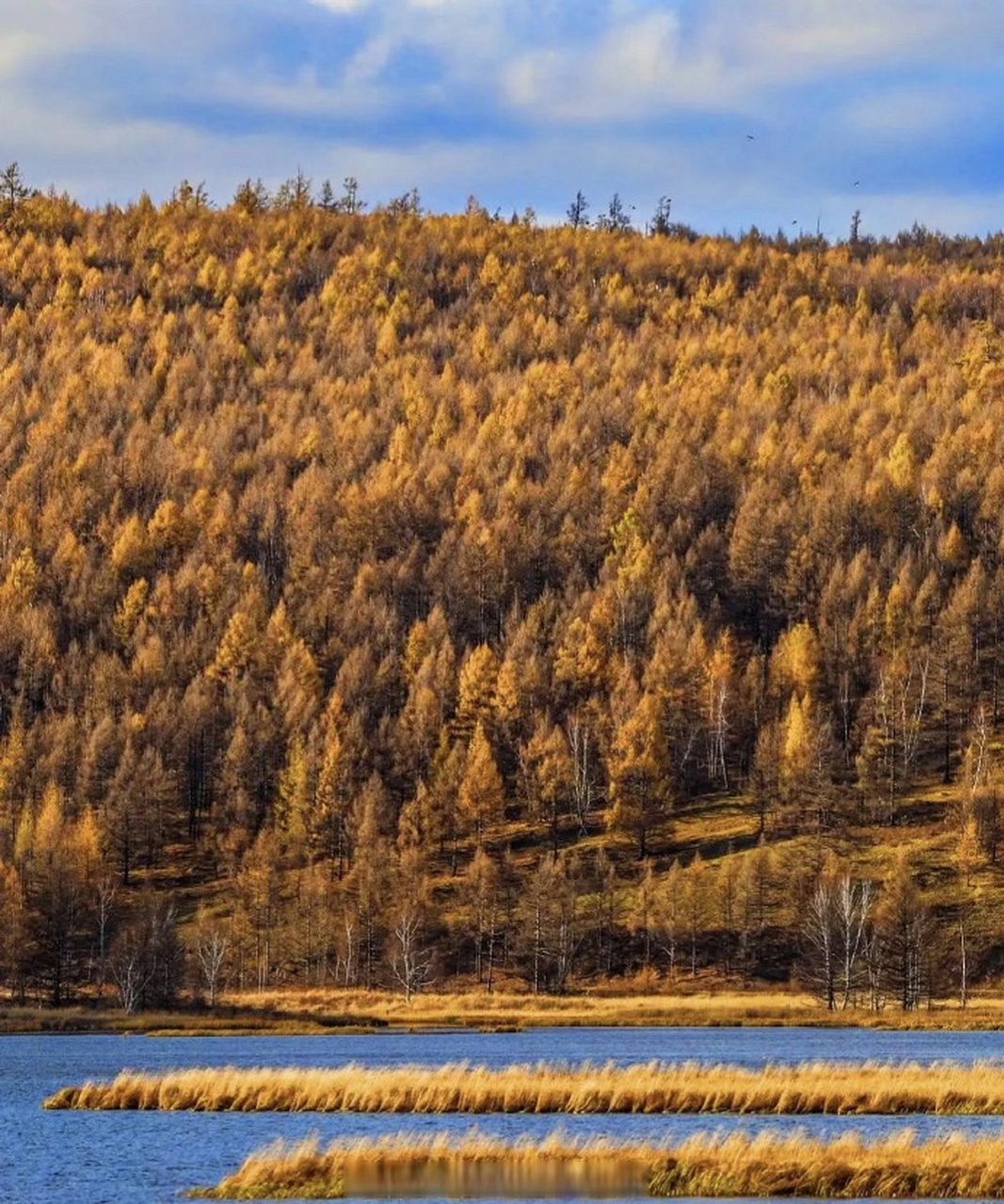 这么近那么美周末到河北##承德旅游# 御道口草原草原森林风景区的