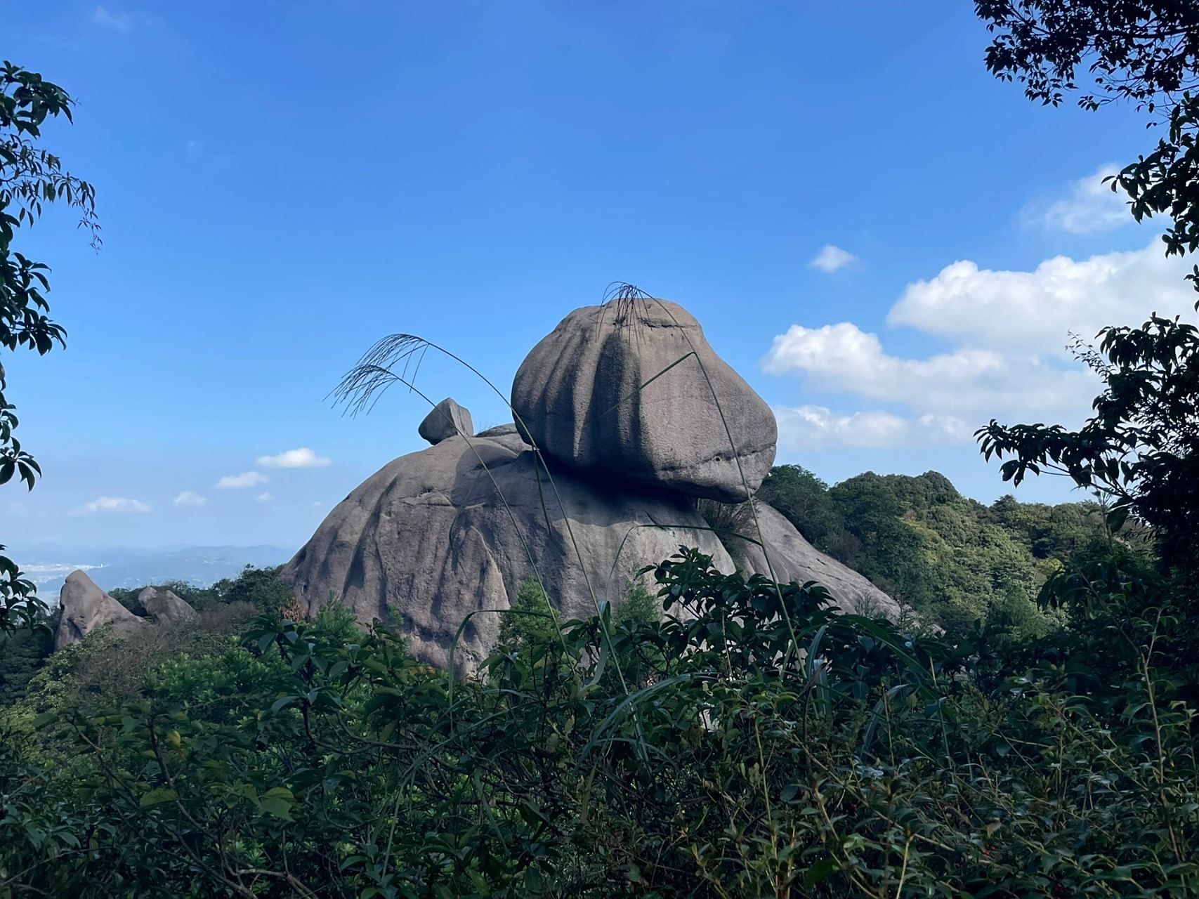 太姥山风景名胜区 太姥山风景名胜区 福建省宁德市福鼎市 北邻温州118