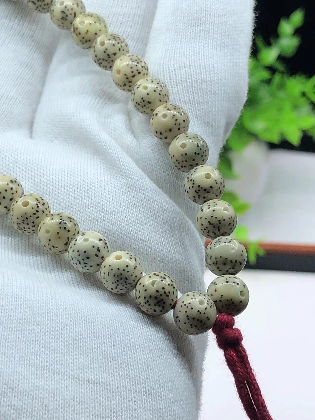 星月菩提圆珠手持,骨瓷质感,品相好 海南星月菩提圆珠手持 8×8正圆