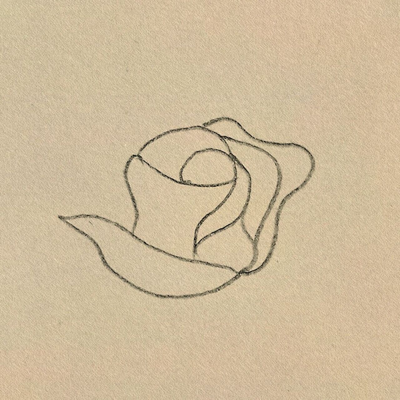 玫瑰花简笔画