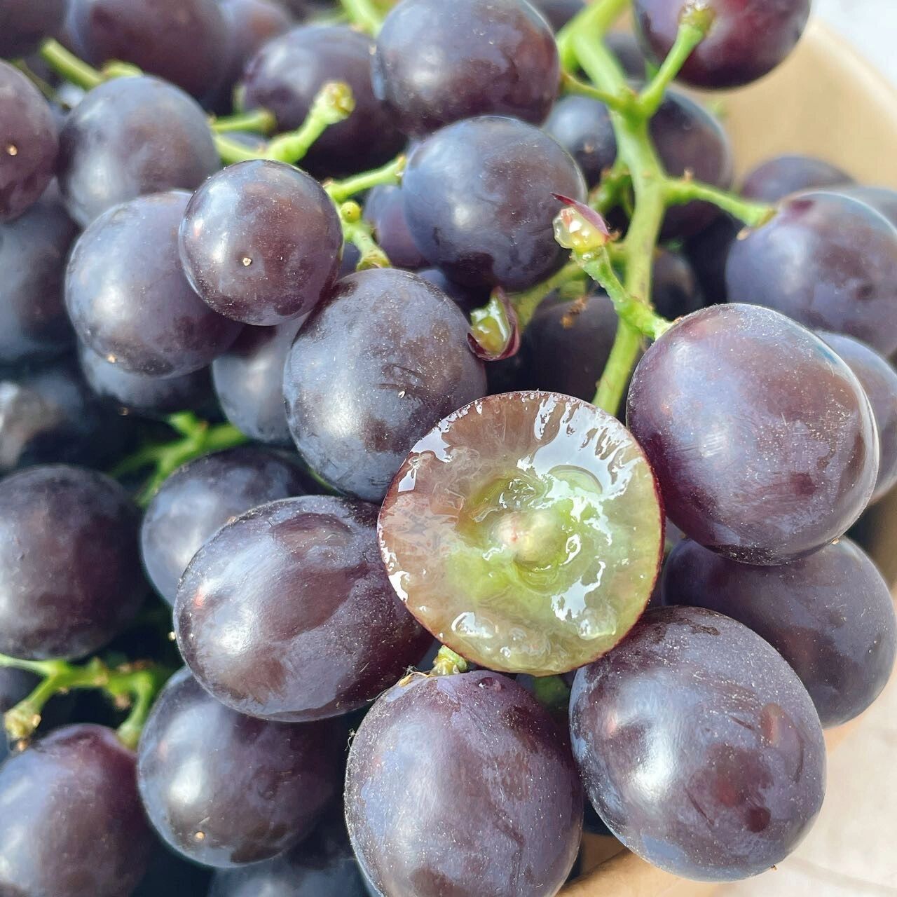 玫瑰香葡萄99 茶淀玫瑰香葡萄成熟后颗粒又黑又紫,入口便有一股玫瑰