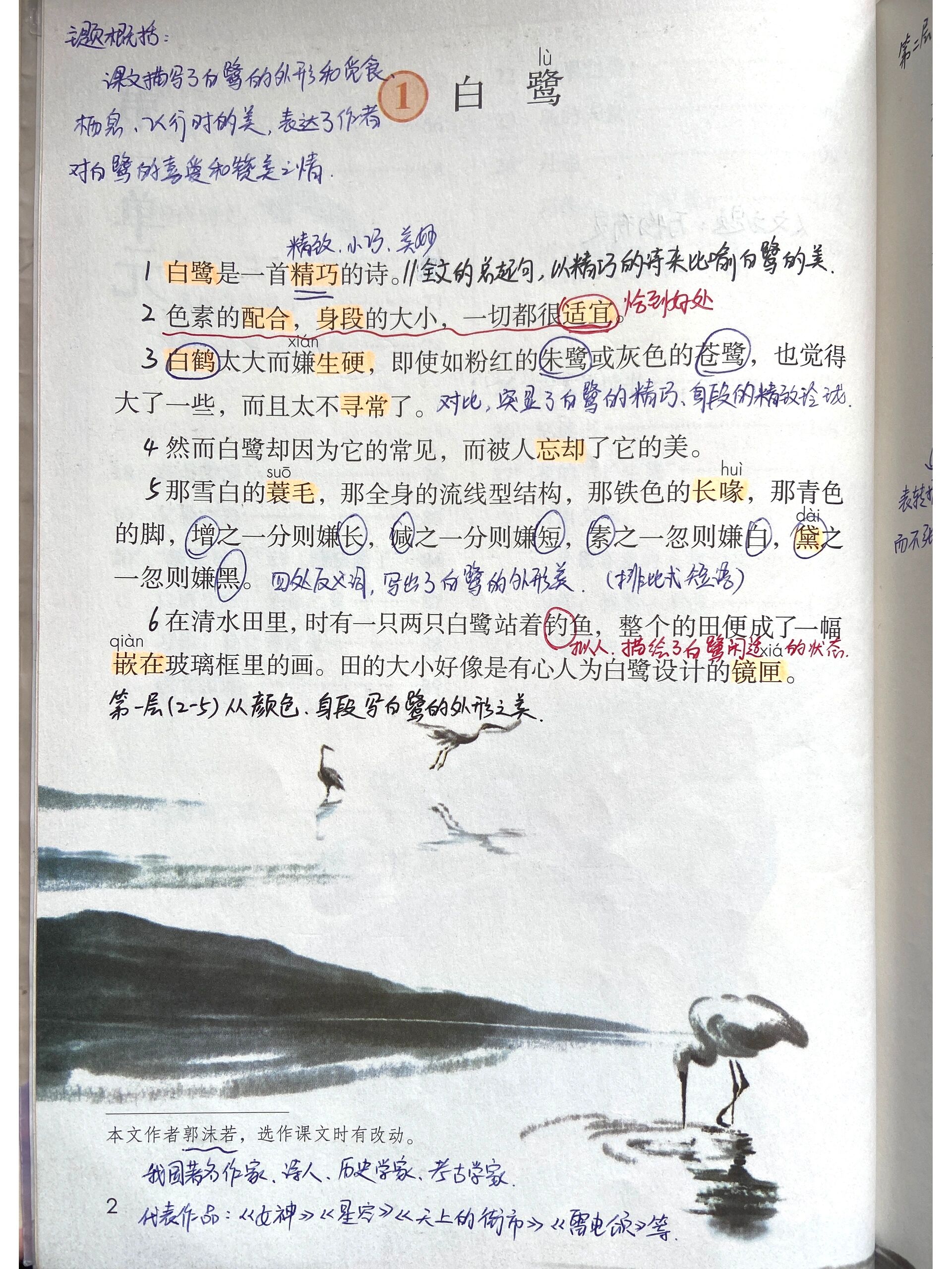 五年级语文上册 1白鹭