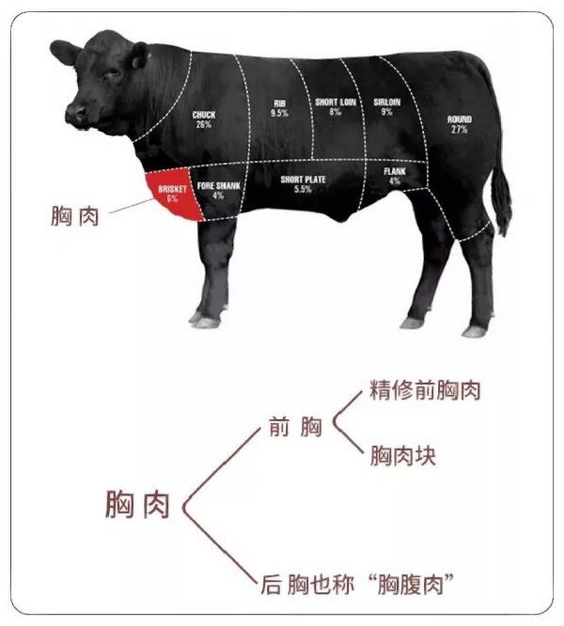 1,胸肉(brisket):俗称"牛五花",由前胸(point end)和后胸(navel end)
