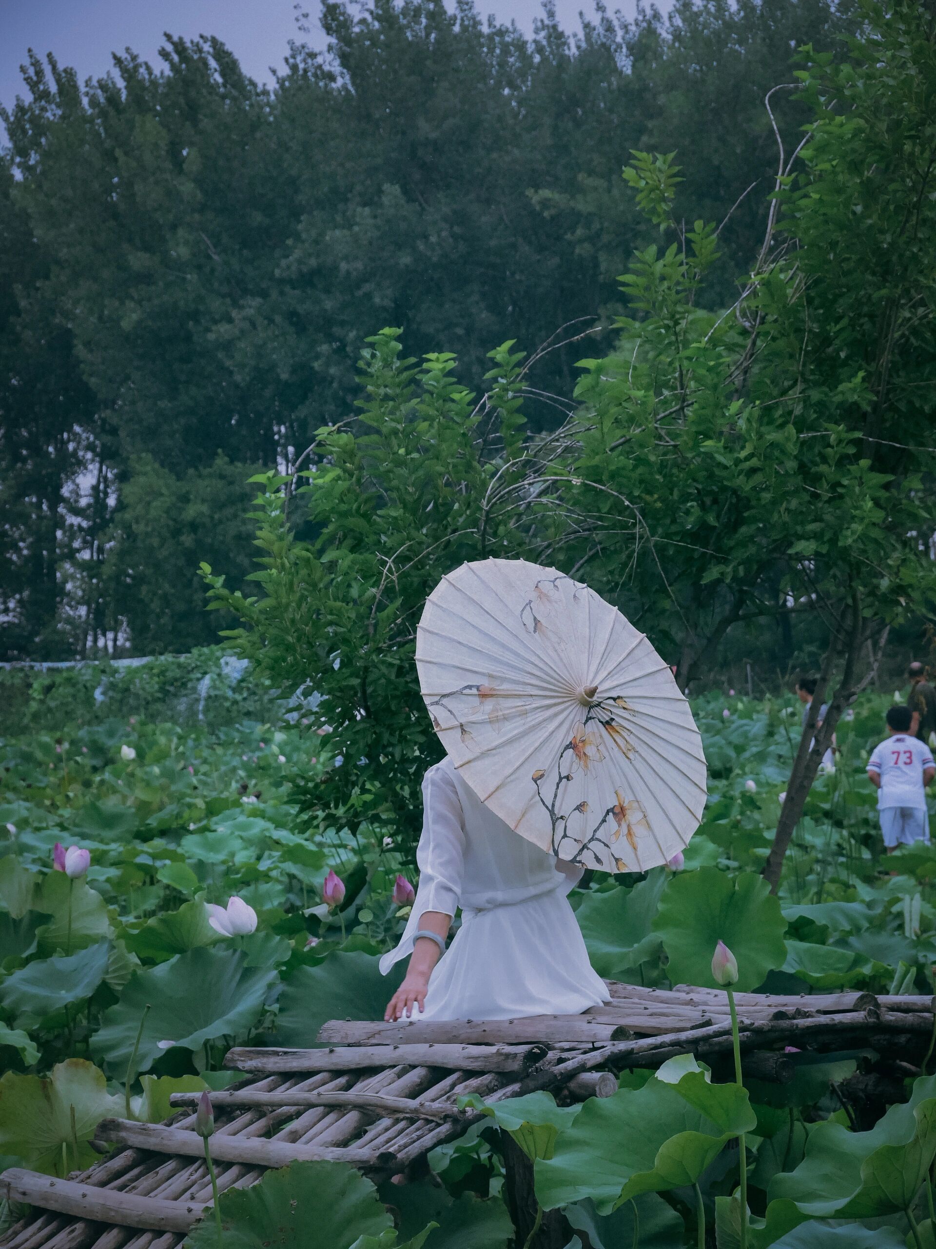 曹老集三岔河湿地公园图片