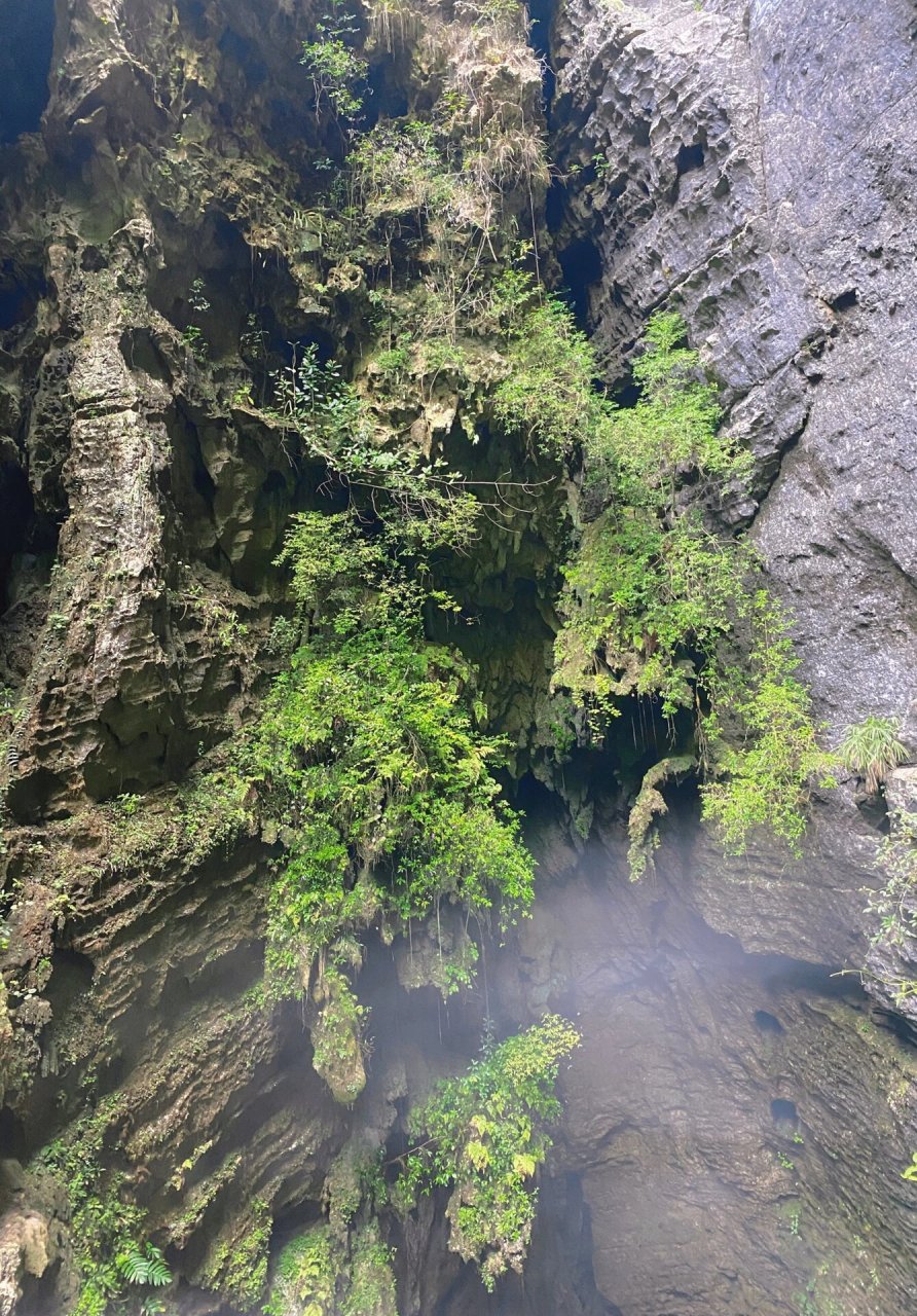 91这里是来自大山中的美丽,国家aaaa级旅游景区罗城棉花天坑,天然的