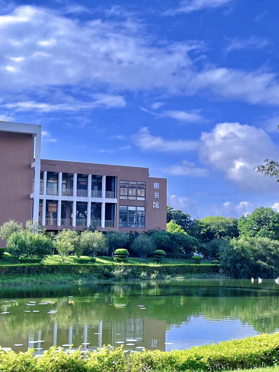 松山湖中学初中部图片