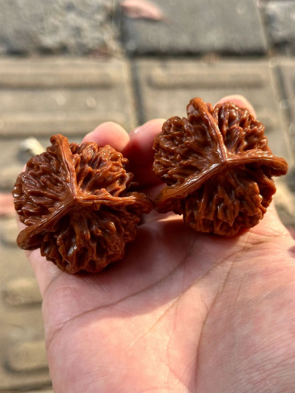 帝王三棱狮子头 包浆老核桃,蜡质皮,骨质特别好,配对也没毛病,正字奔