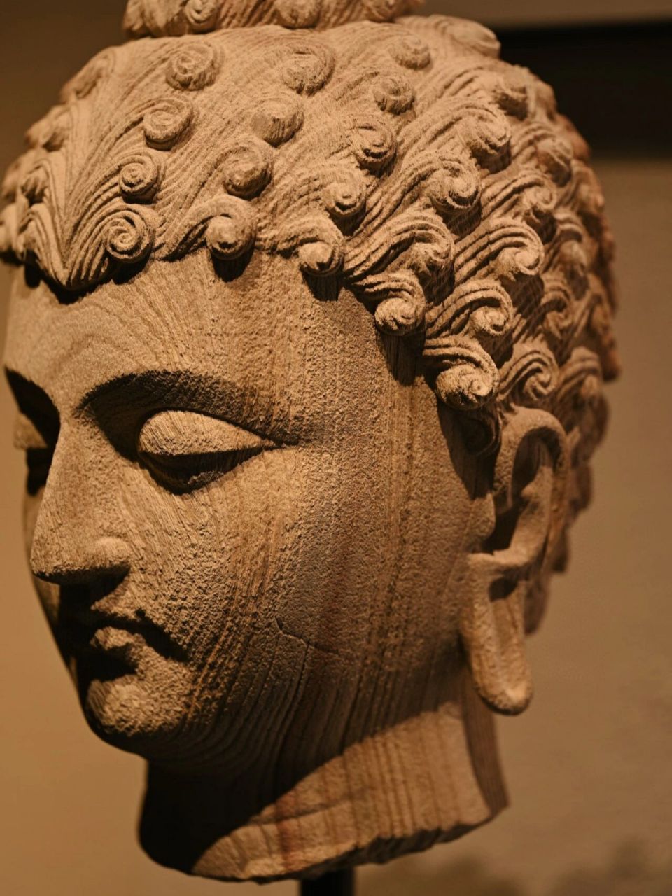 香樟木|犍陀罗 犍陀罗式样的佛像,开脸神韵精妙,垂眸深蕴目光.