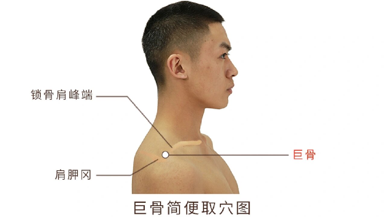 小腿巨骨位置图片