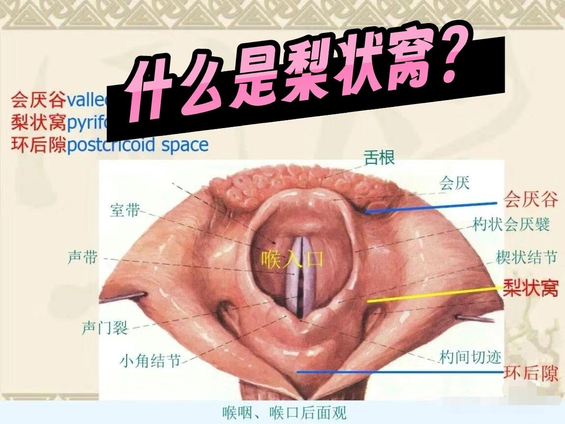 如果我老爸不得这个病,我可能这辈子都不可能知道梨状窝是什么?