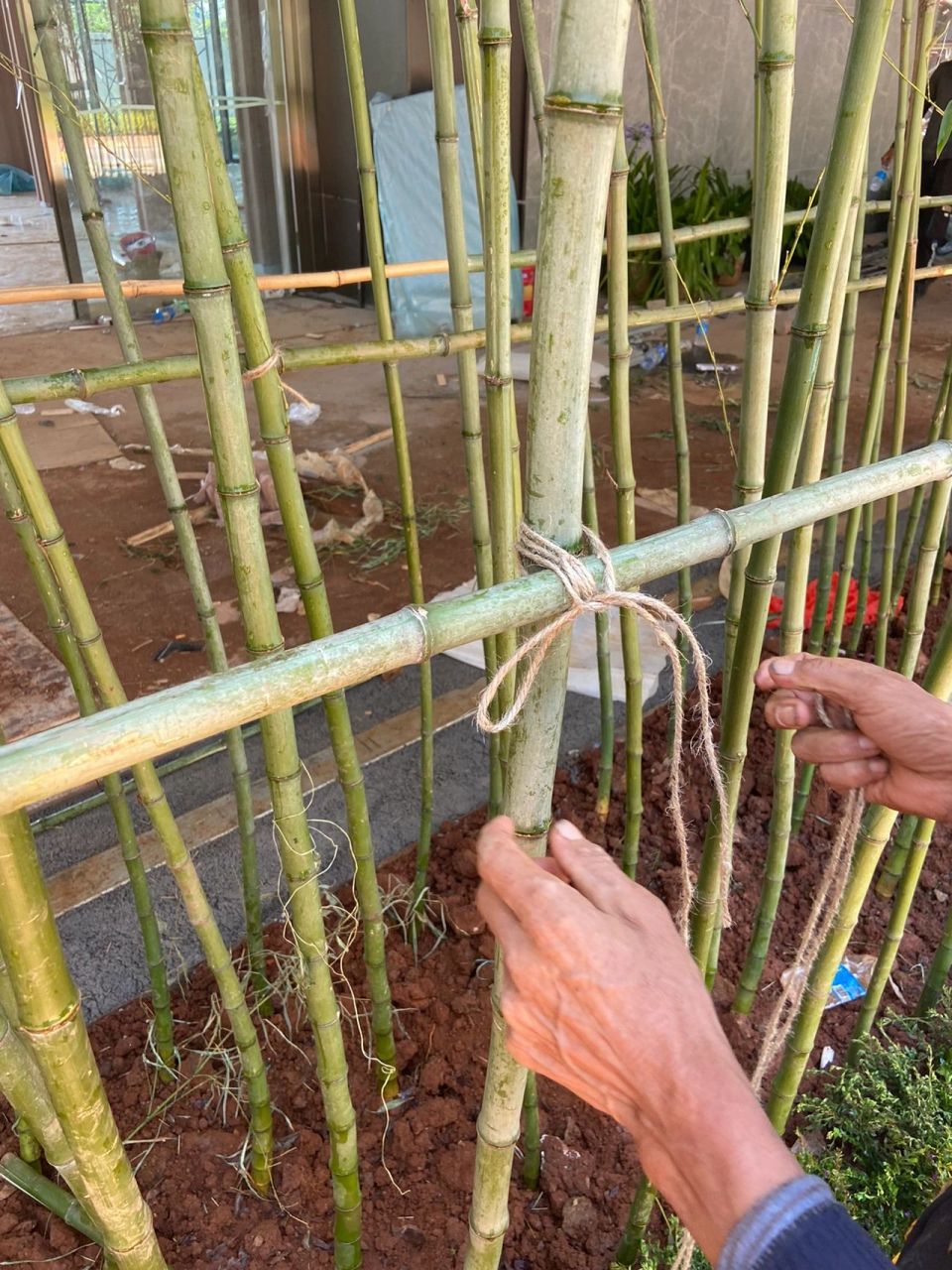 竹子连接固定方法图解图片