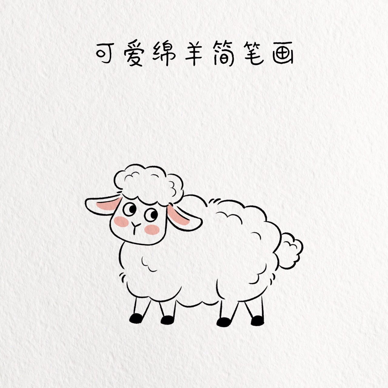 可爱绵羊简笔画/动物篇简笔画