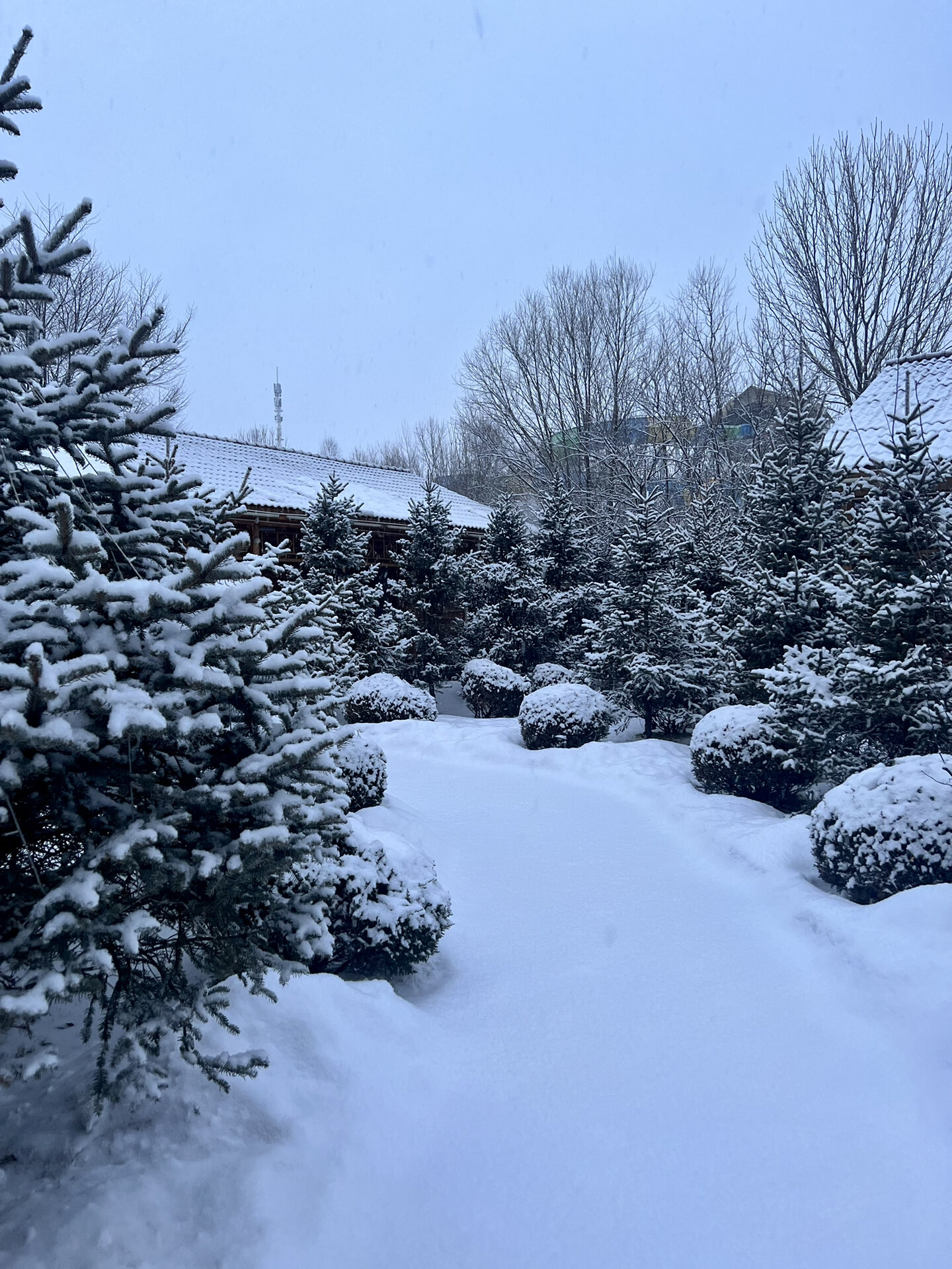 雪乡温泉图片