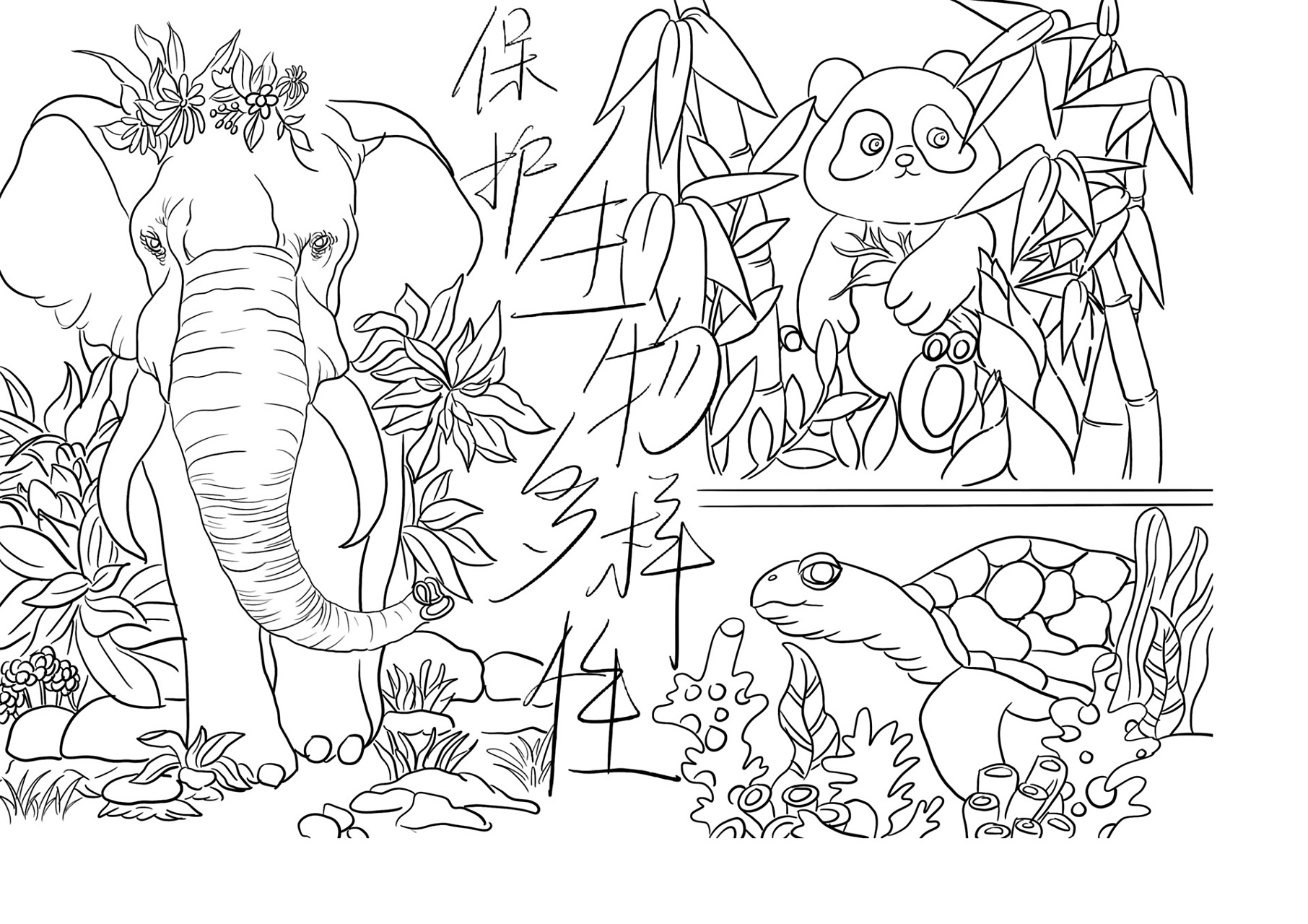 生物多样性手抄报 保护环境,人人有责