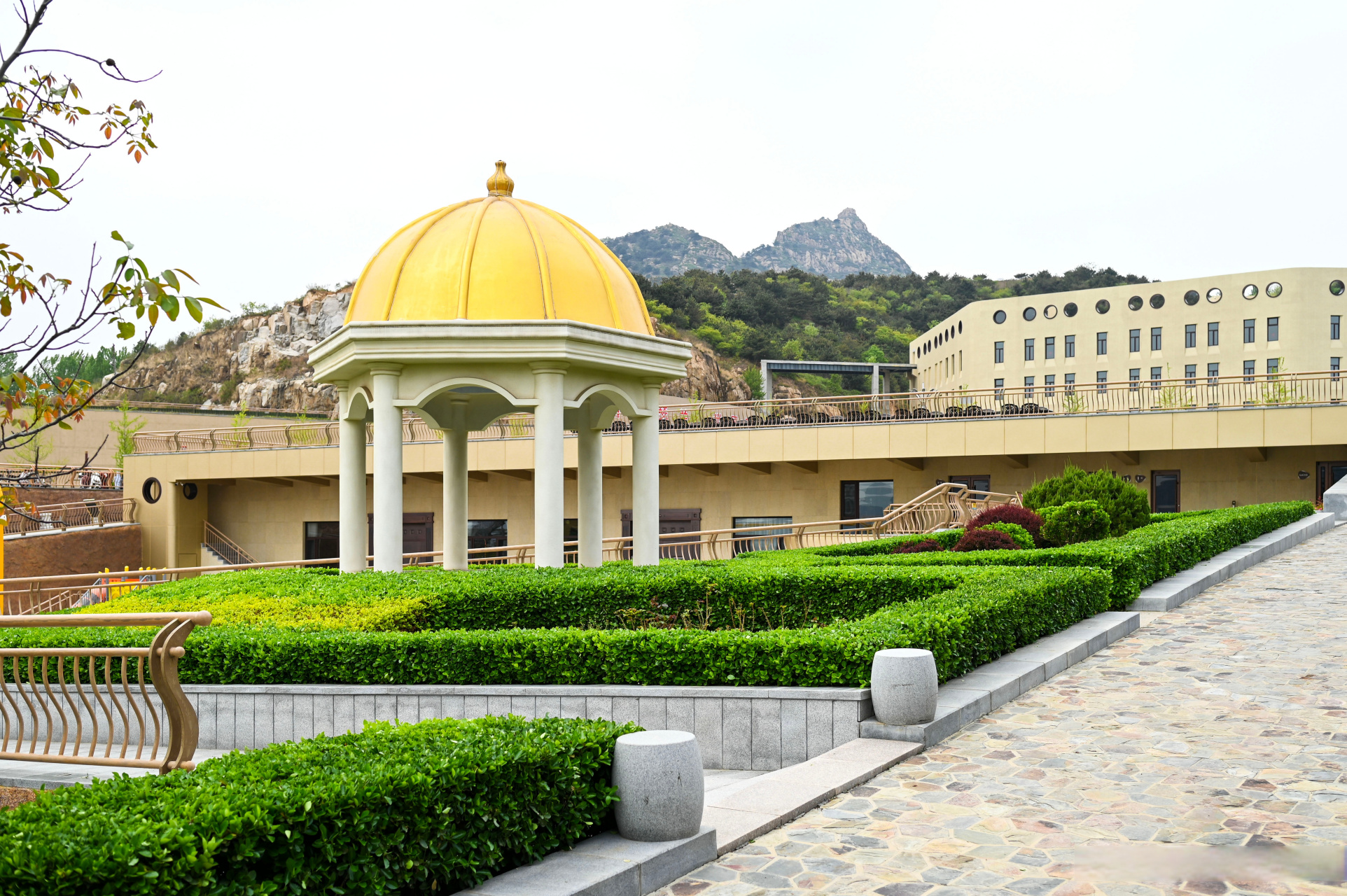 昨天发了那条"昌黎金士国际葡萄酒庄园"的短图文,很多亲们都想看看装