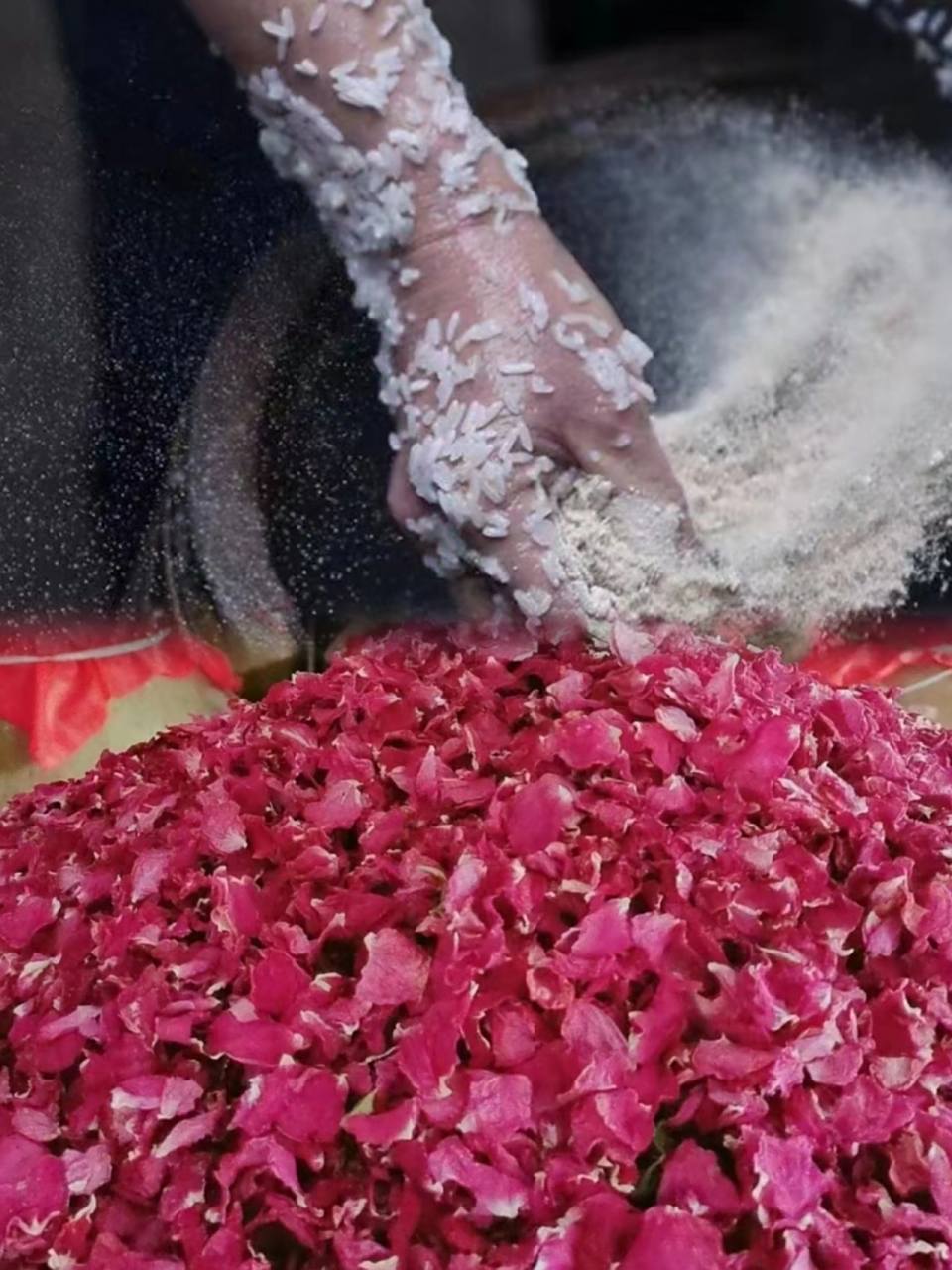 每年4月,我家里必酿十来缸玫瑰花酒…… 玫瑰花的话,平阴的重瓣玫邋