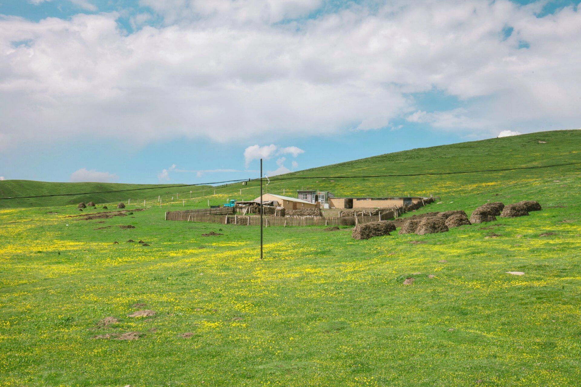 夏天必去的美仁大草原 美仁大草原位于甘南藏族自治州合作市,这里气候