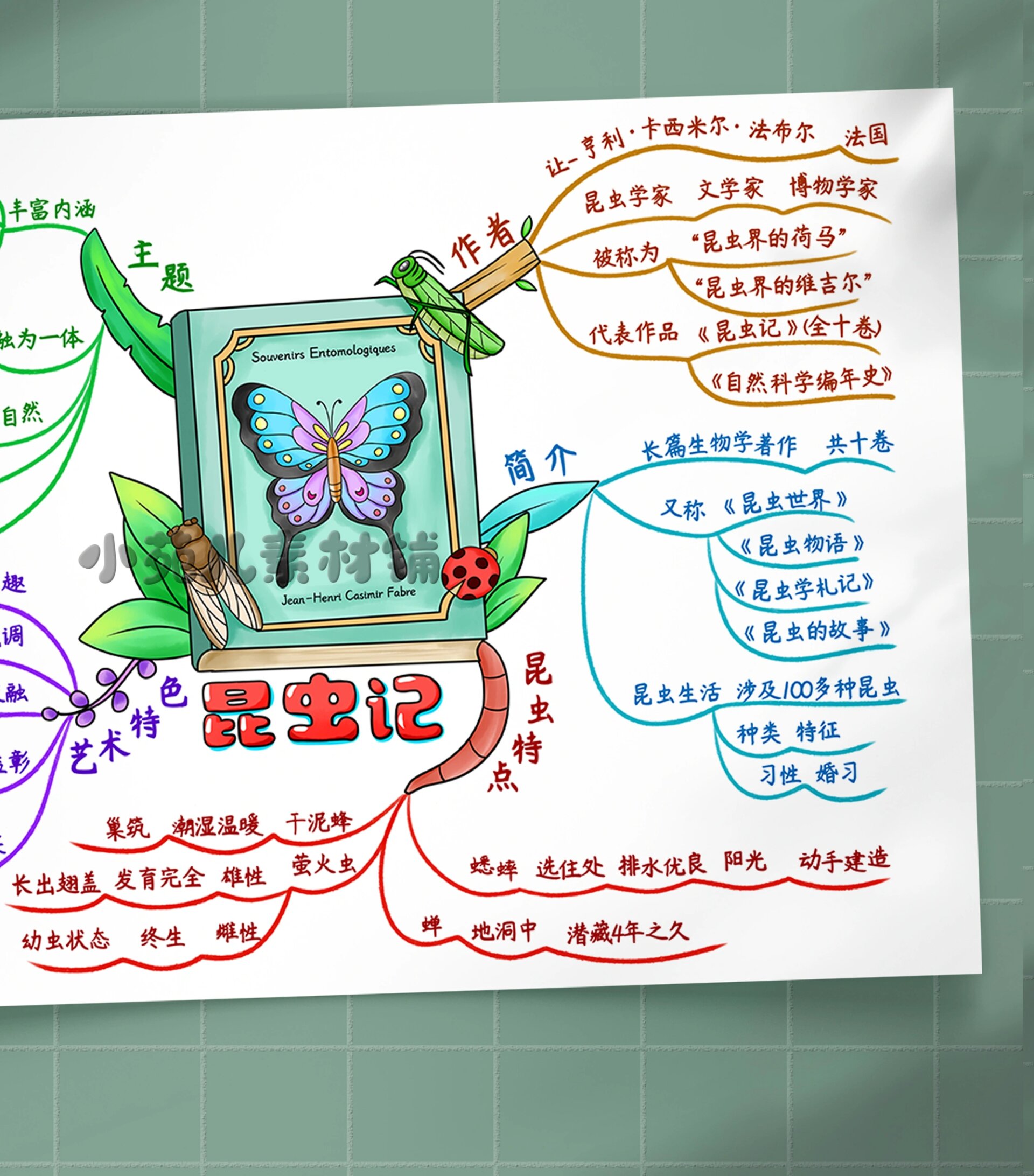 昆虫记思维导图简易图片