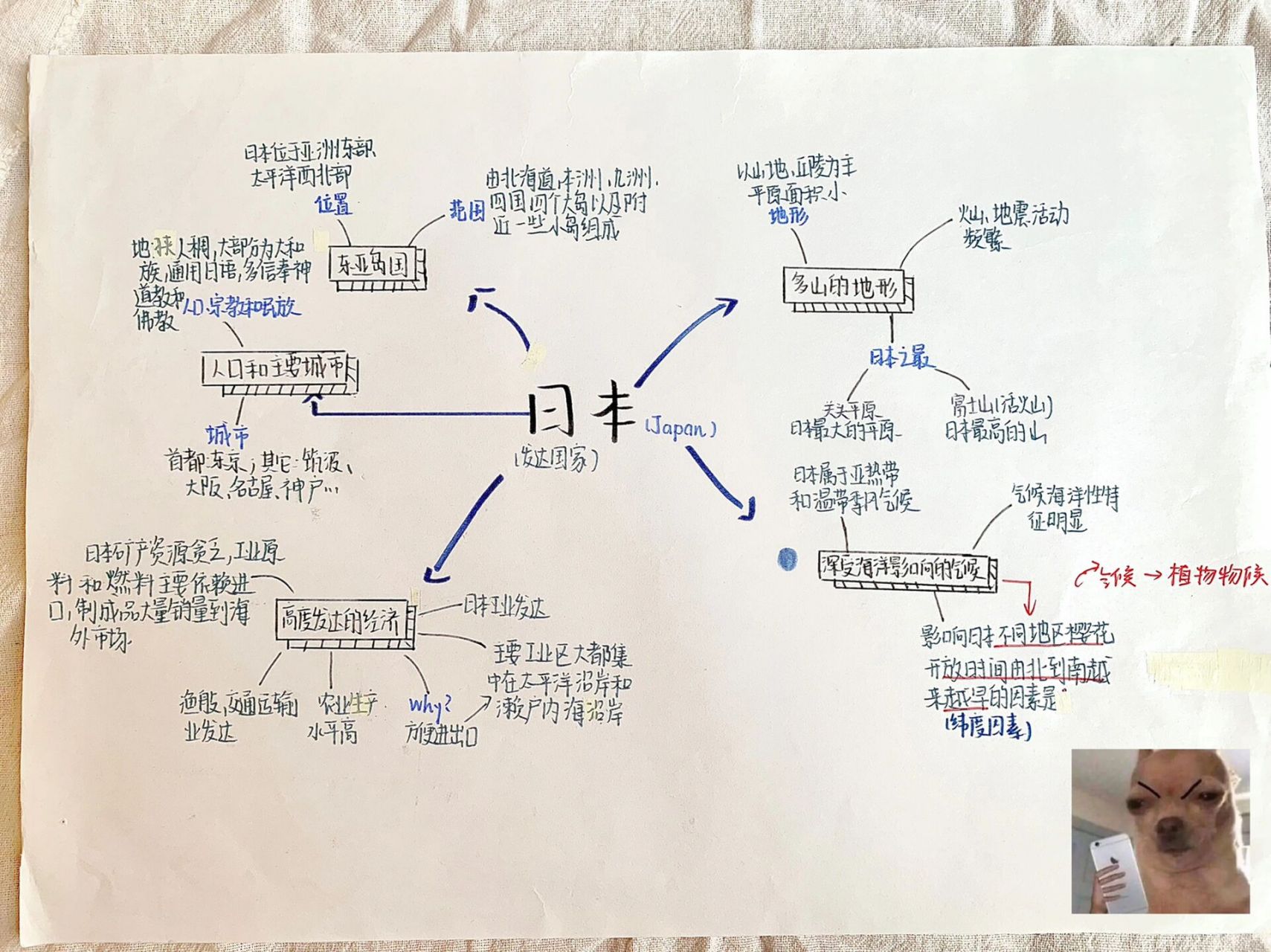 日本思维导图七下图片